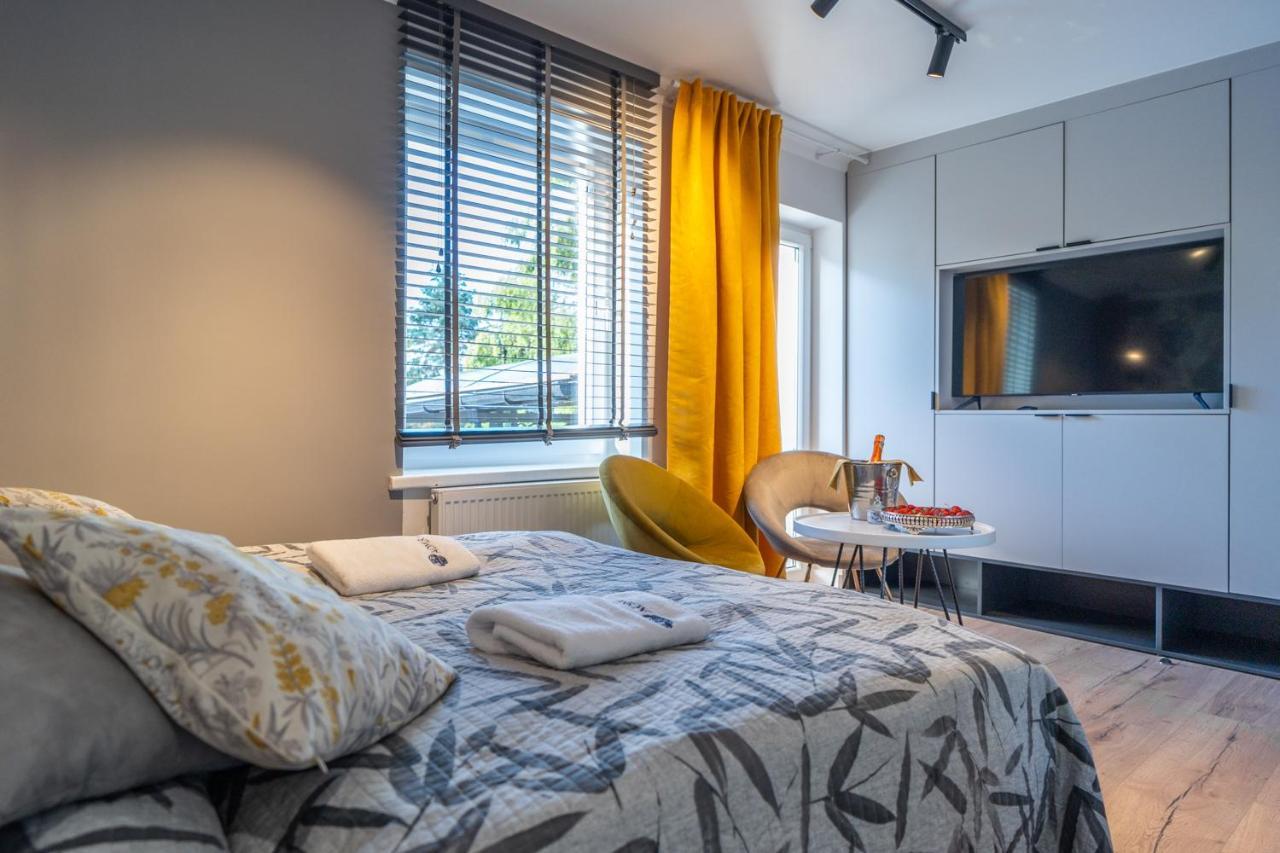 Apartment Admiral  Solina (Podkarpackie)